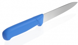 Carving knife - 20 cm - blue